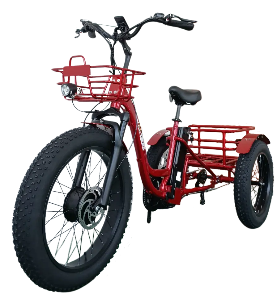 FT2 Cargo Trike Vtuvia