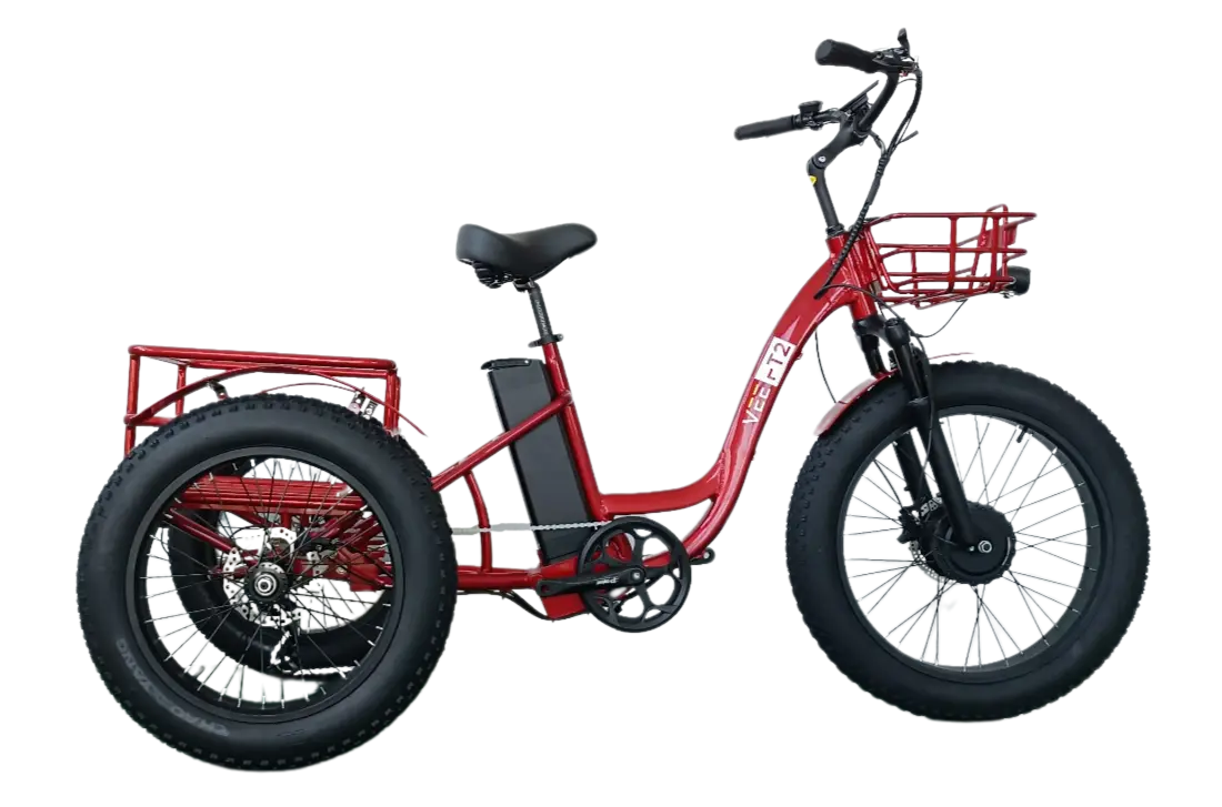 FT2 Cargo Trike Vtuvia