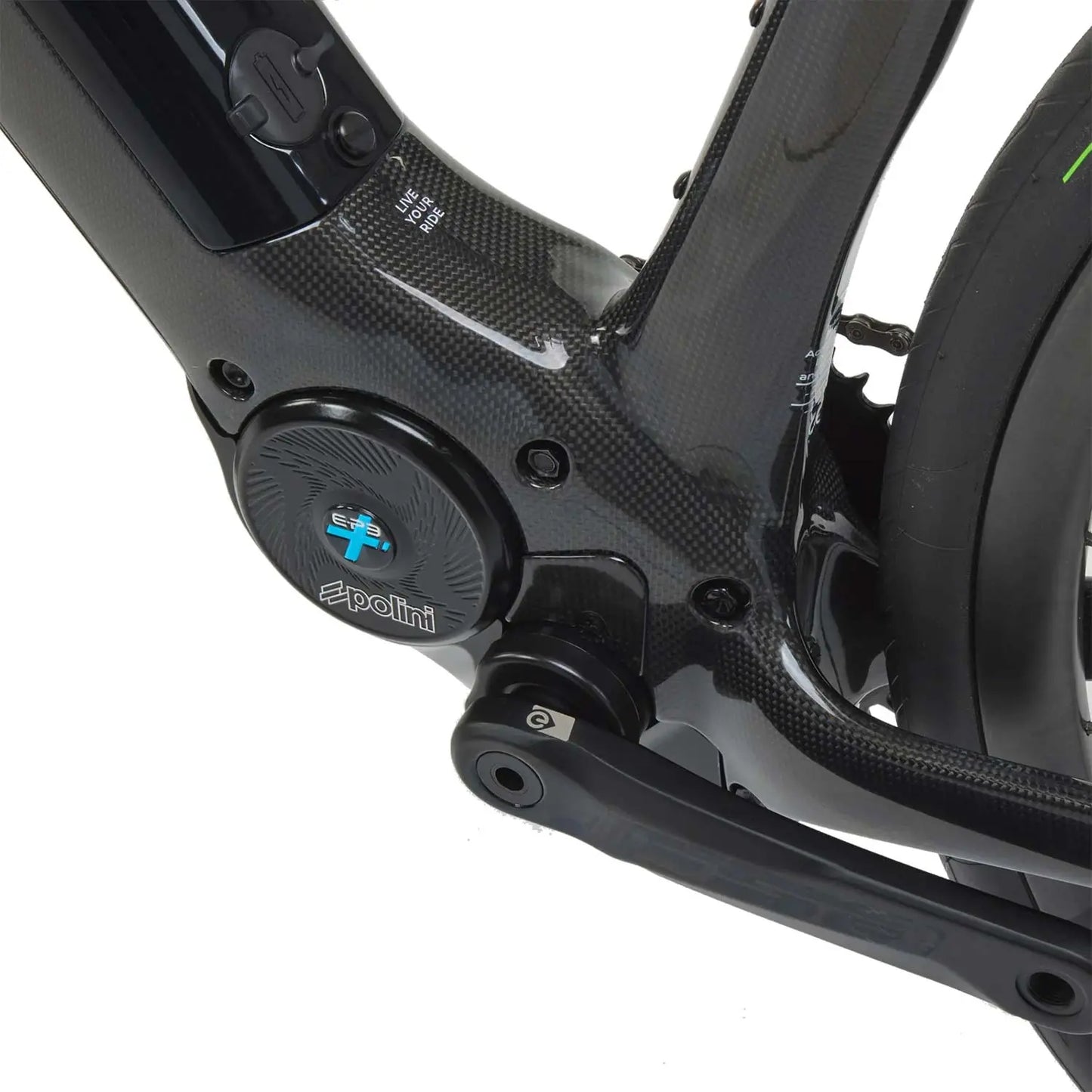Cipollini Fybra R Rival AXS Carbon Cipollini