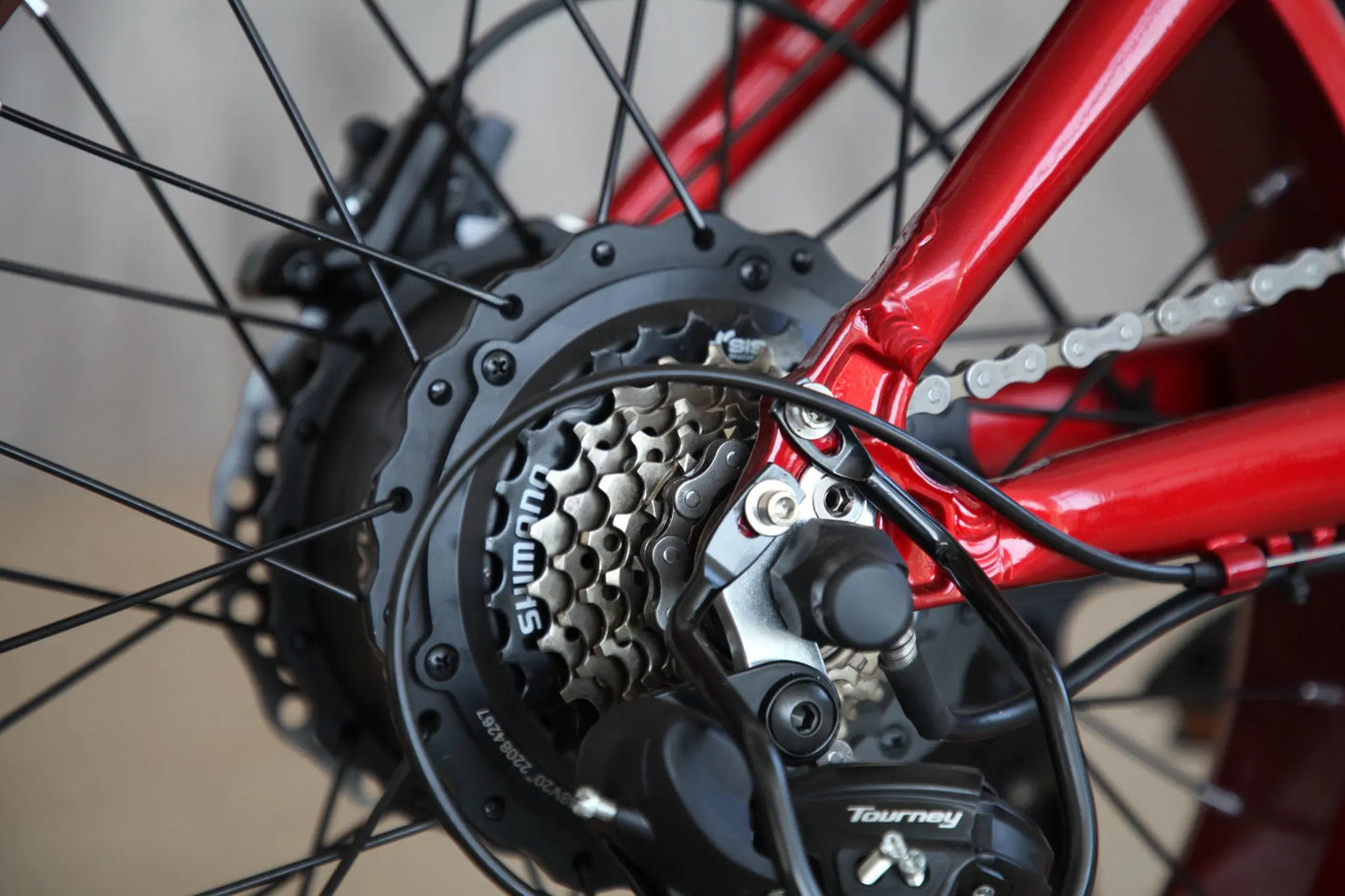 Antelope Fat Tyre Folding Ebike