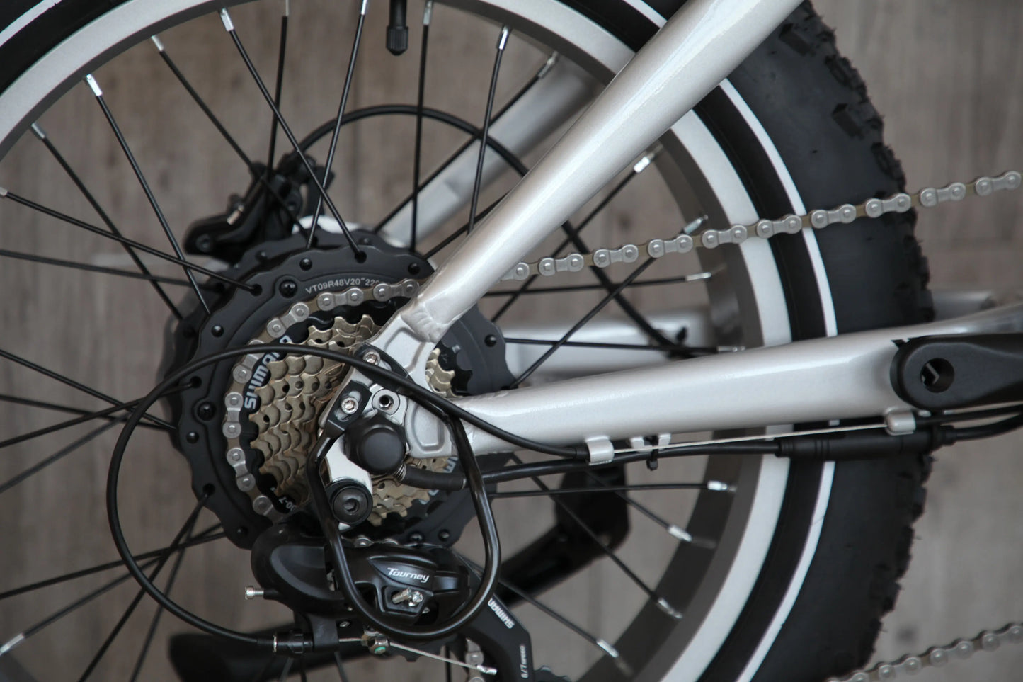 Antelope Fat Tyre Folding Ebike