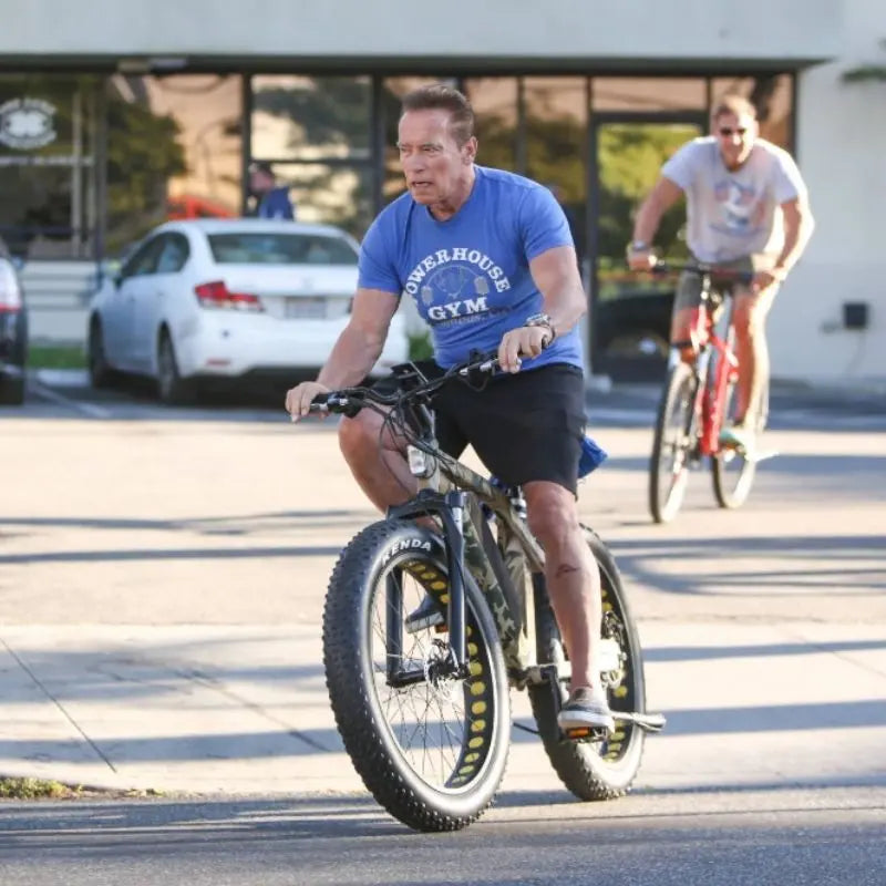 SN-100 Mountain Ebike