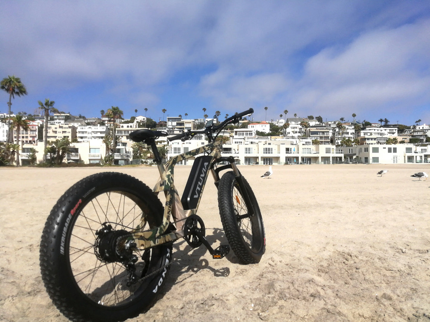 SN-100 Mountain Ebike