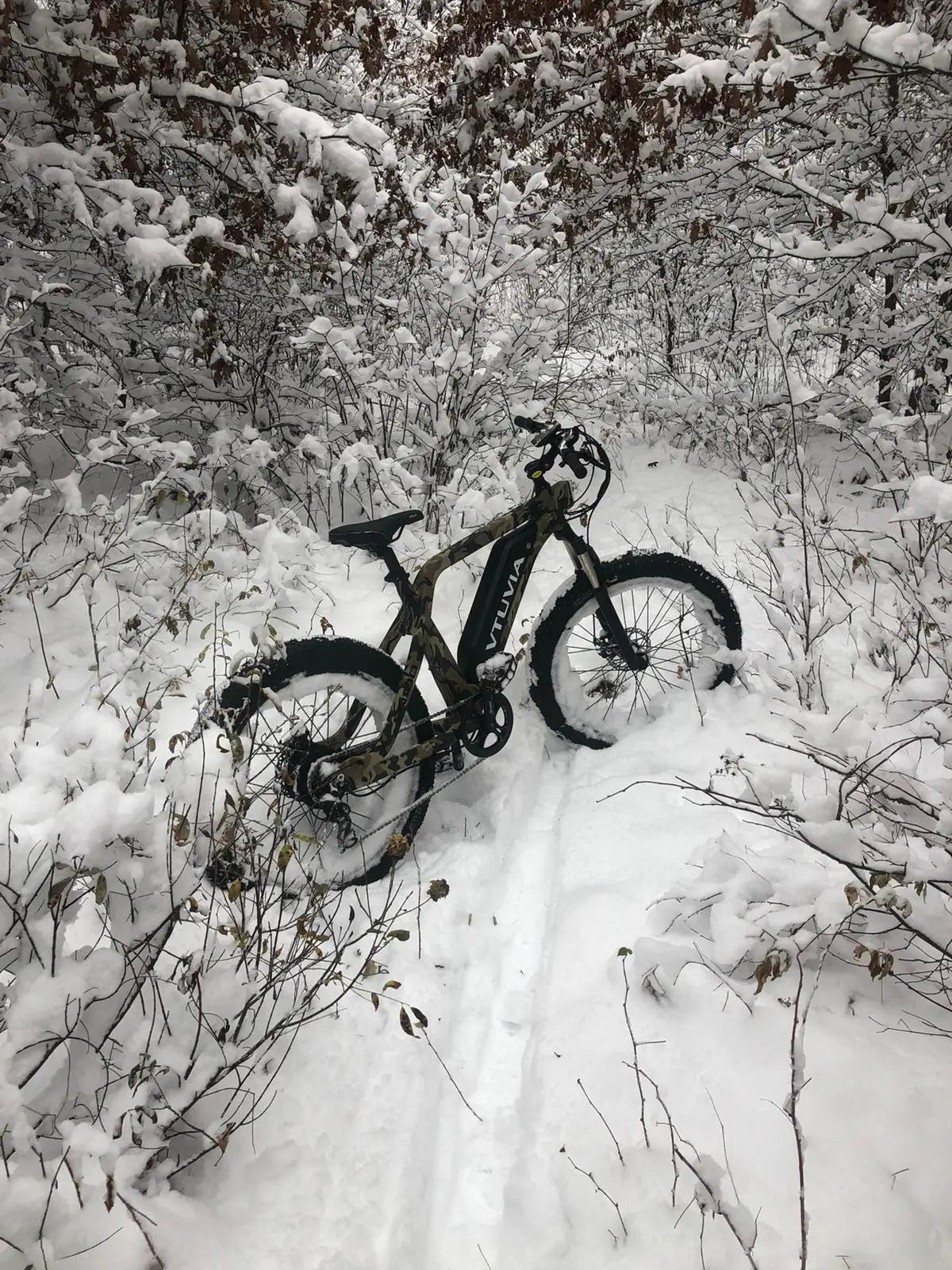 SN-100 Mountain Ebike