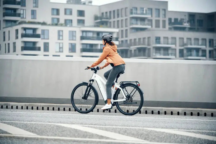 Introducing-Riese-Müller-E-Bikes-A-Premium-Choice-Now-Available-in-Our-Store Virtue Electric Bikes Ltd