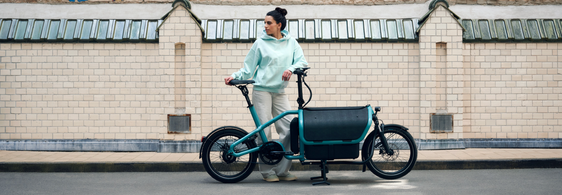 Riese & Müller Carrie Cargo Bike: A Versatile Solution for Families and Everyday Transport