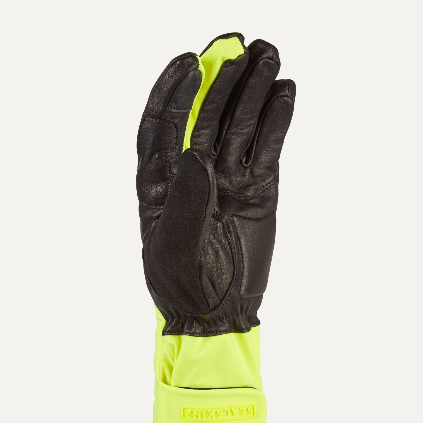 Sealskinz Waterproof Extreme Cold Weather Insulated