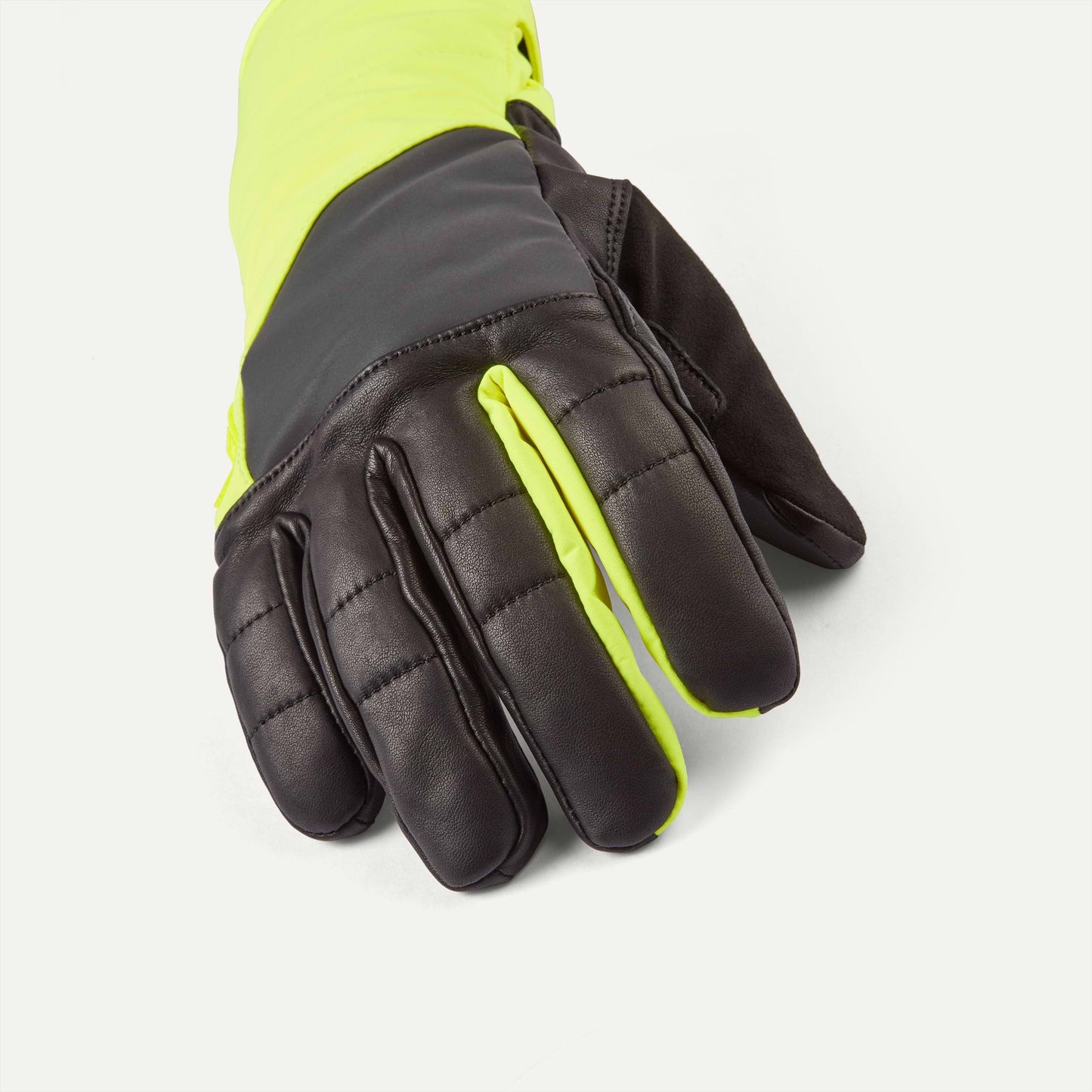 Sealskinz Waterproof Extreme Cold Weather Insulated
