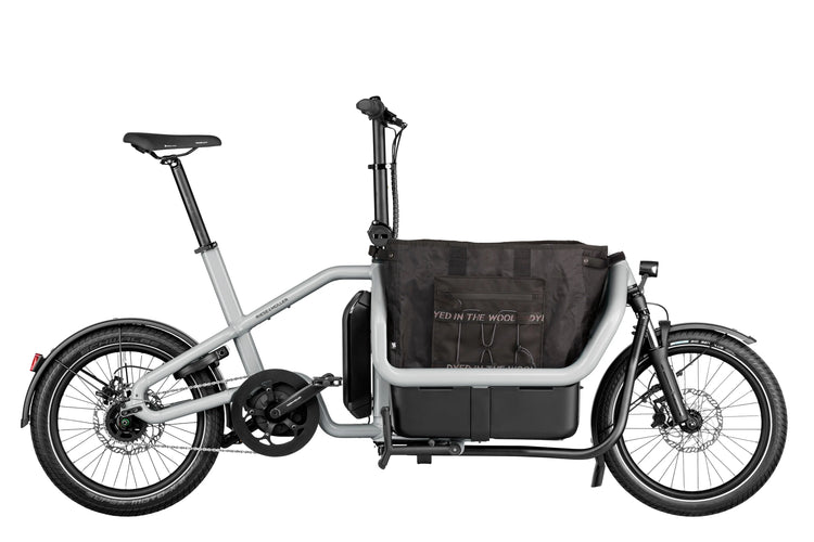 Riese & Muller Carrie Cargo Riese & Muller