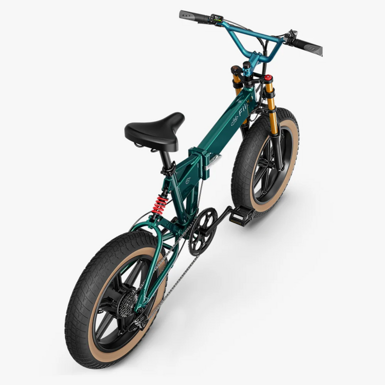 Fiido M1 Pro Fat Tyre Electric Bike