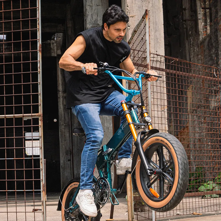 Fiido M1 Pro Fat Tyre Electric Bike