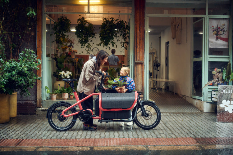 Reise & Muller Carrie 2 Cargo E-bike