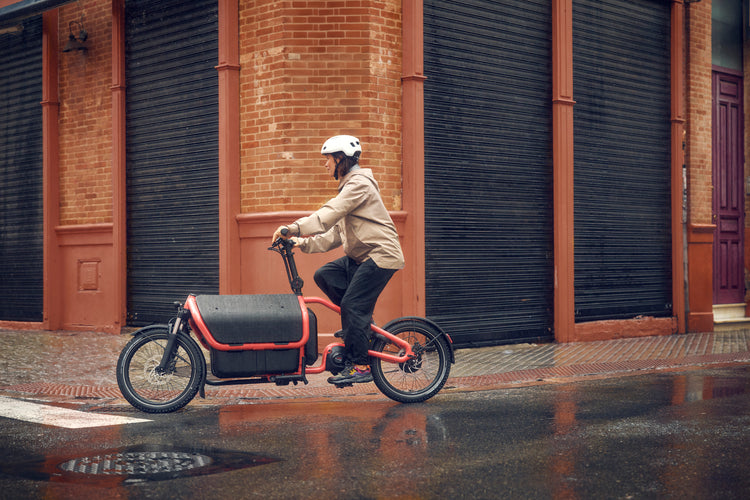 Reise & Muller Carrie 2 Cargo E-bike