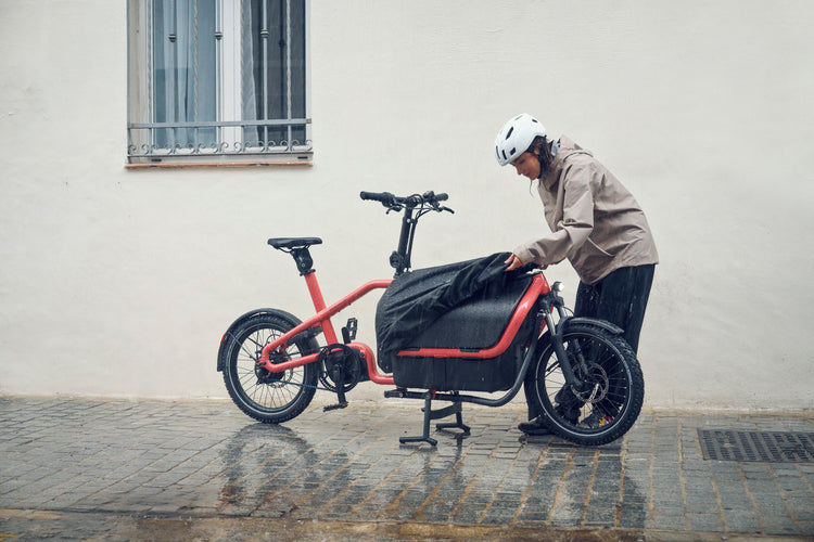 Reise & Muller Carrie 2 Cargo E-bike