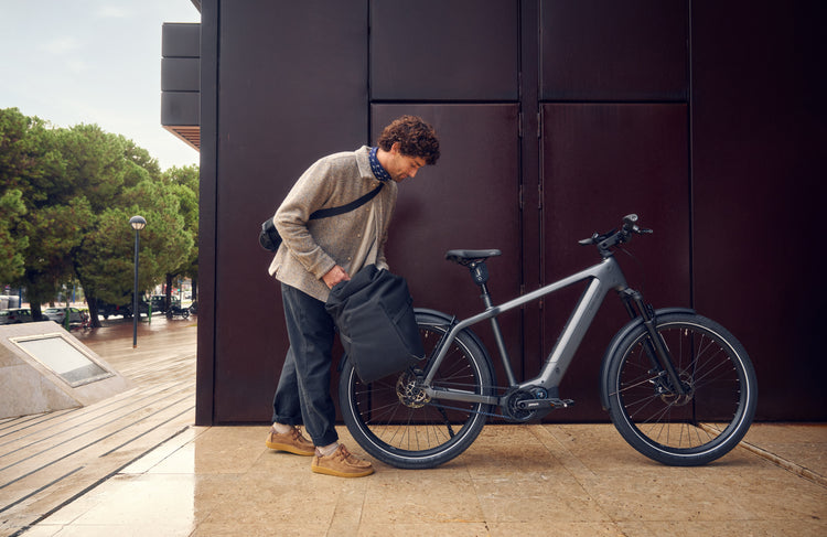 Riese & Müller Charger5 Vario