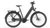 Gazelle Ultimate C380