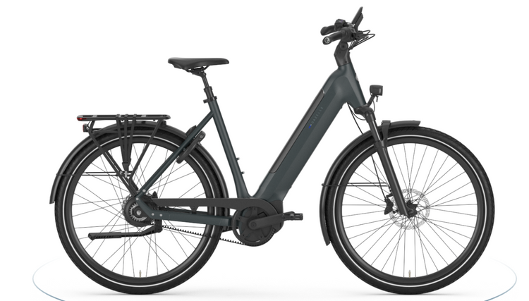 Gazelle Ultimate C380