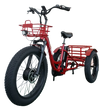 FT2 Cargo Trike Vtuvia