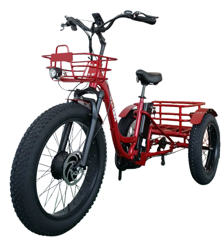 FT2 Cargo Trike Vtuvia