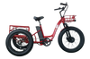 FT2 Cargo Trike Vtuvia