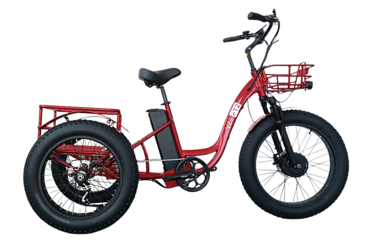 FT2 Cargo Trike Vtuvia