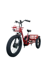 FT2 Cargo Trike Vtuvia