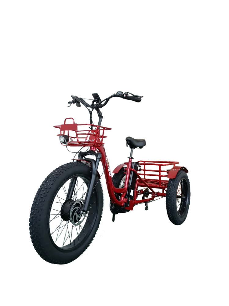 FT2 Cargo Trike Vtuvia