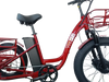 FT2 Cargo Trike Vtuvia