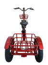 FT2 Cargo Trike Vtuvia