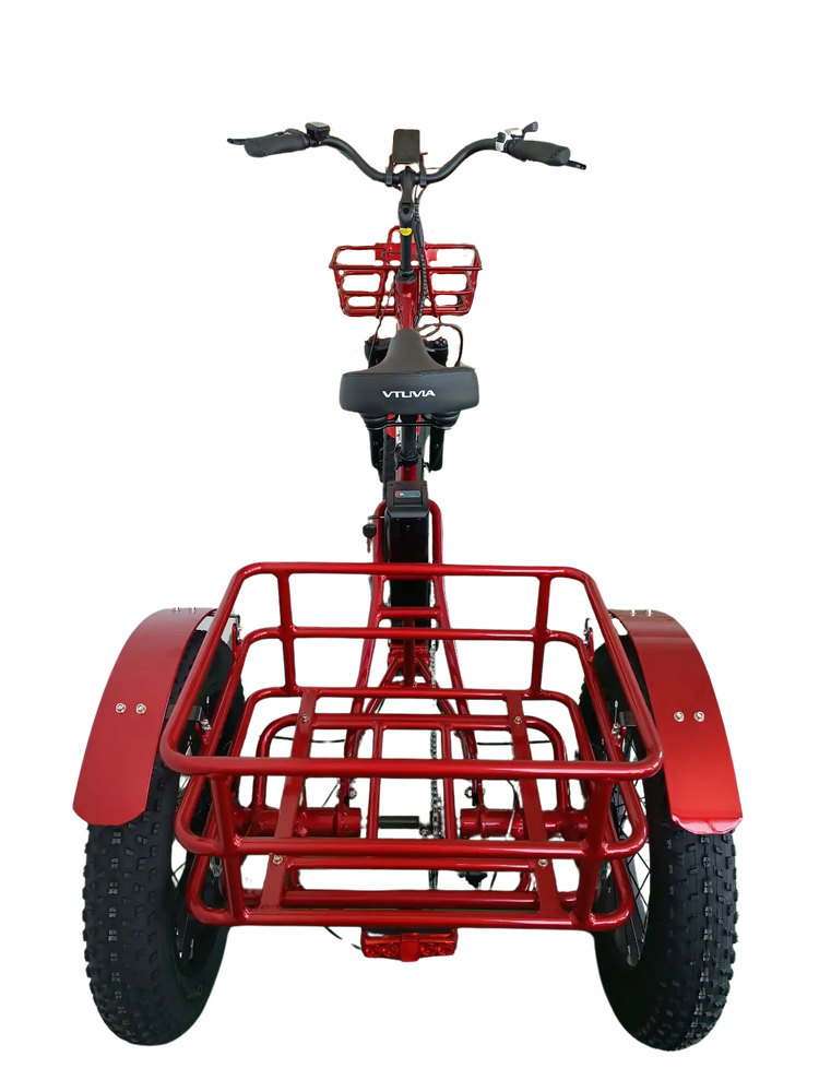 FT2 Cargo Trike Vtuvia