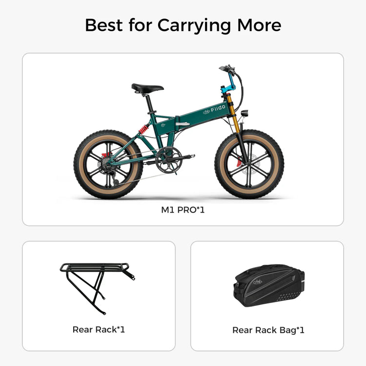 Fiido M1 Pro Fat Tyre Electric Bike