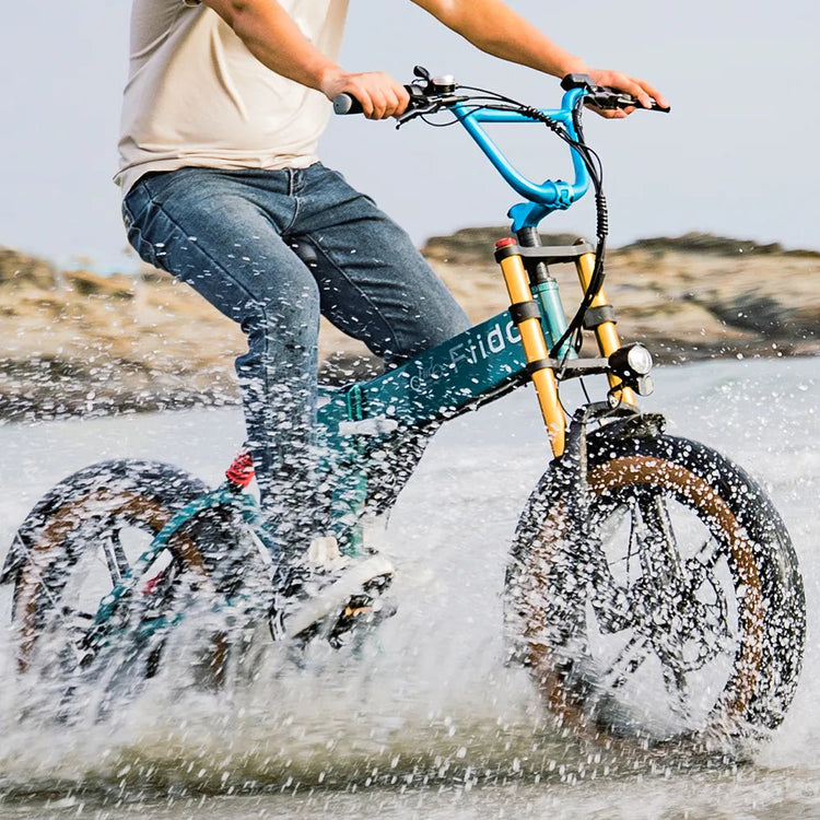 Fiido M1 Pro fat tyre folding electric bike official product image