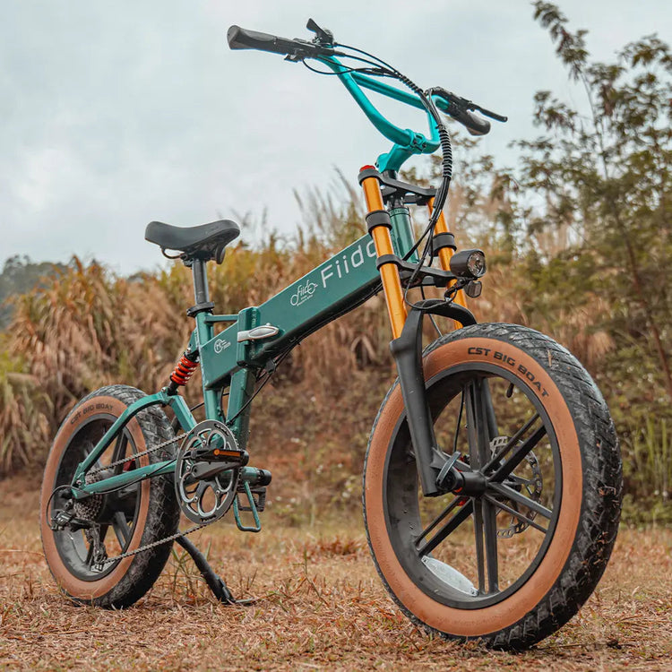 Fiido M1 Pro fat tyre folding electric bike product detail