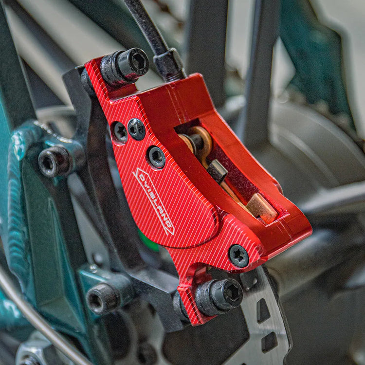 Fiido M1 Pro fat tyre electric bike official product detail
