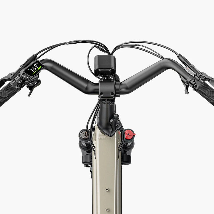 Fiido T3 Max longtail cargo electric bike official product image