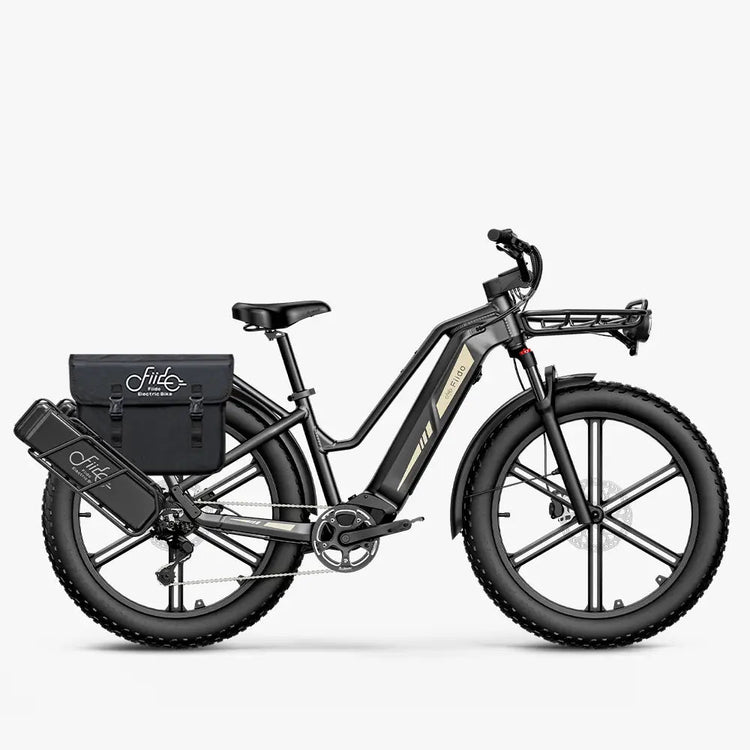Fiido Titan electric cargo bike with optional panniers and front rack