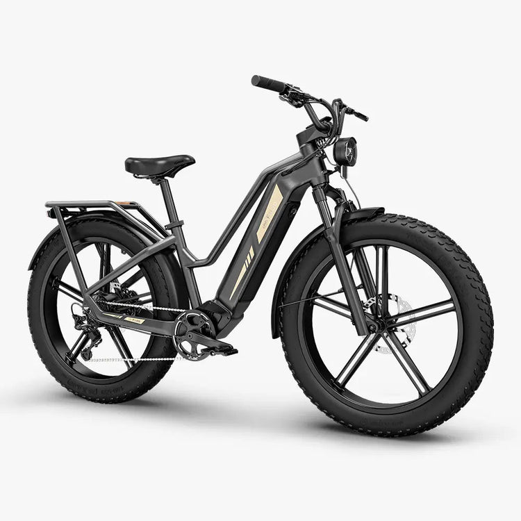 Fiido Titan grey electric bike front three-quarter view