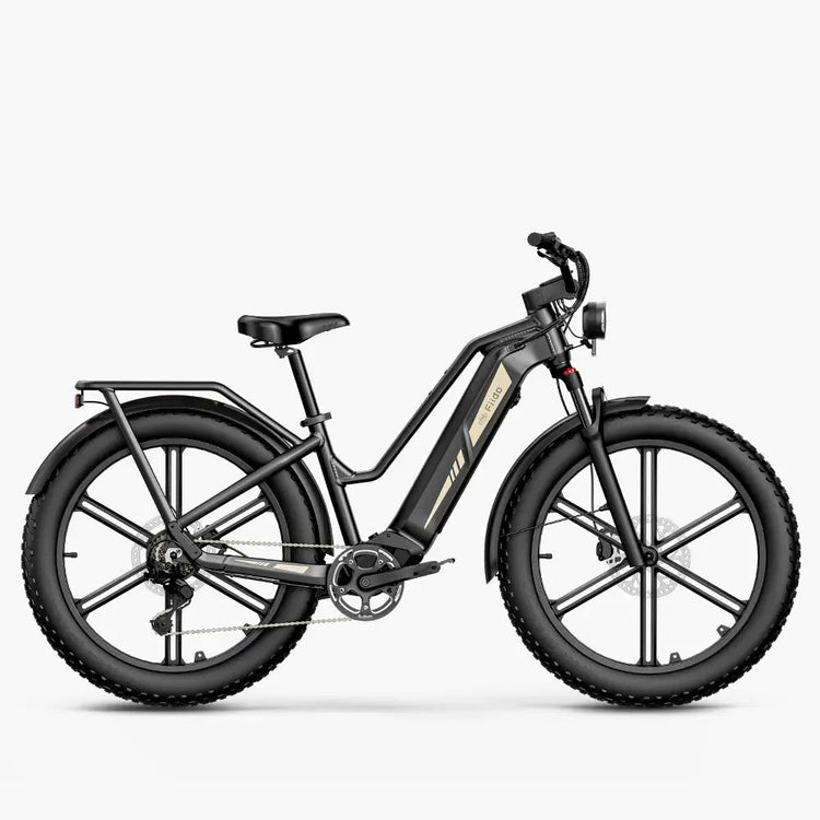 Fiido Titan grey fat tyre electric cargo bike side view