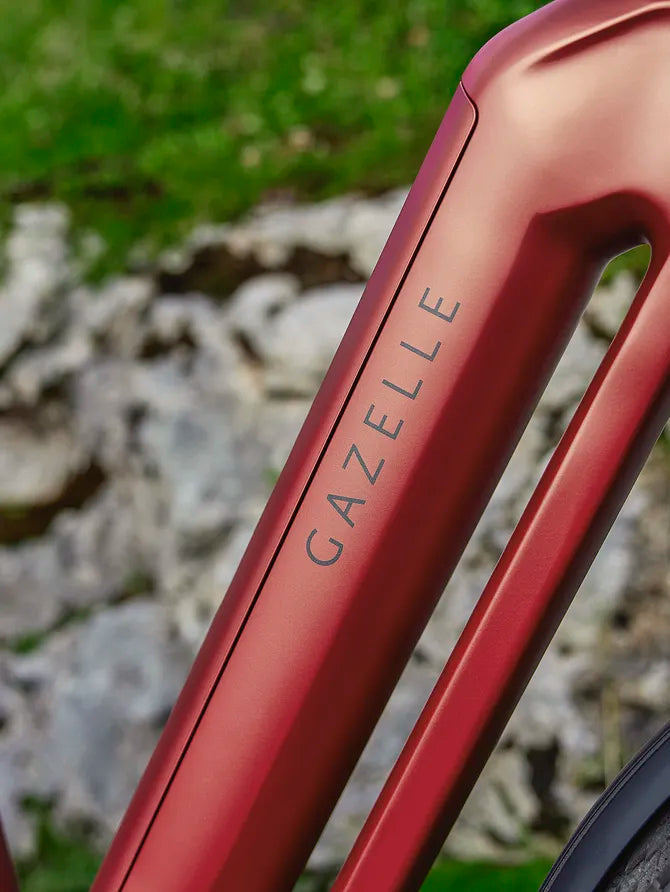 Gazelle Eclipse C380