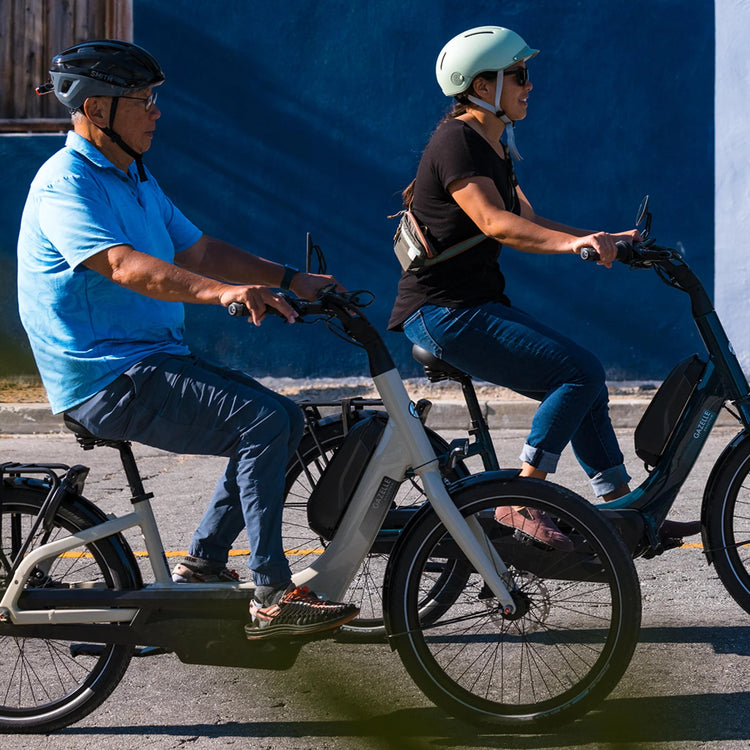 Gazelle Easyflow C8