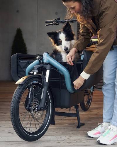 Reise & Muller Carrie 2 Cargo E-bike