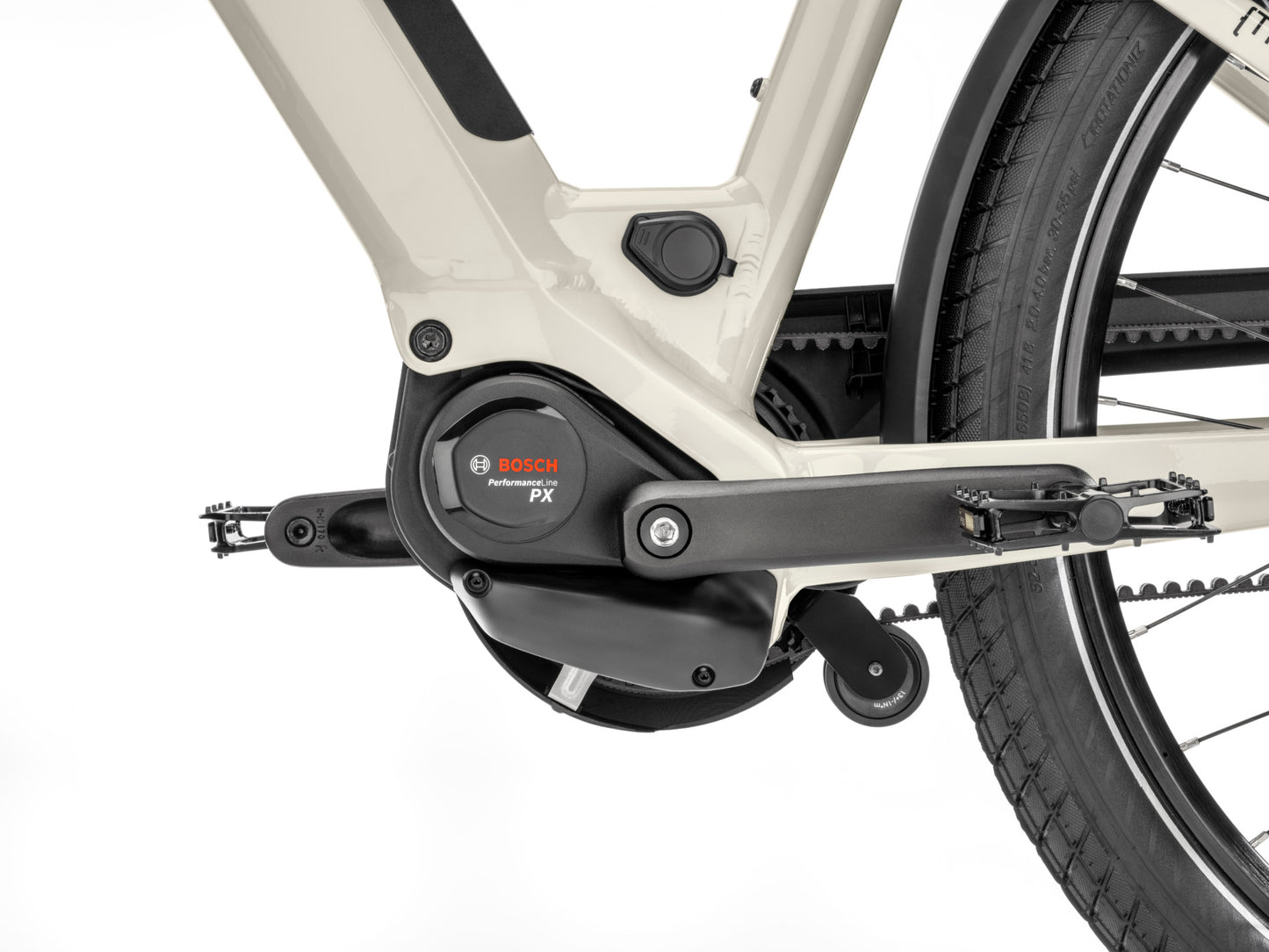 Moustache Mardi 27.4