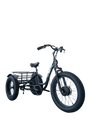 FT2 Cargo Trike Vtuvia