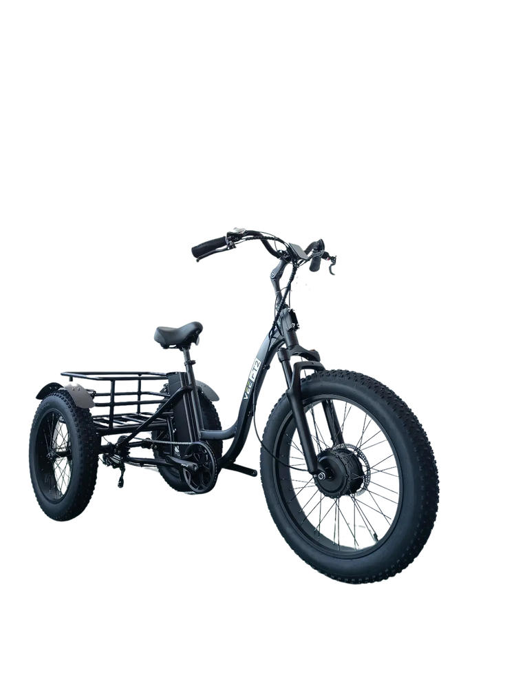 FT2 Cargo Trike Vtuvia