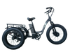 FT2 Cargo Trike Vtuvia