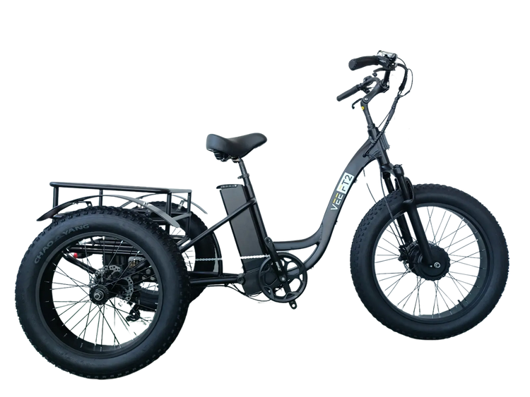 FT2 Cargo Trike Vtuvia