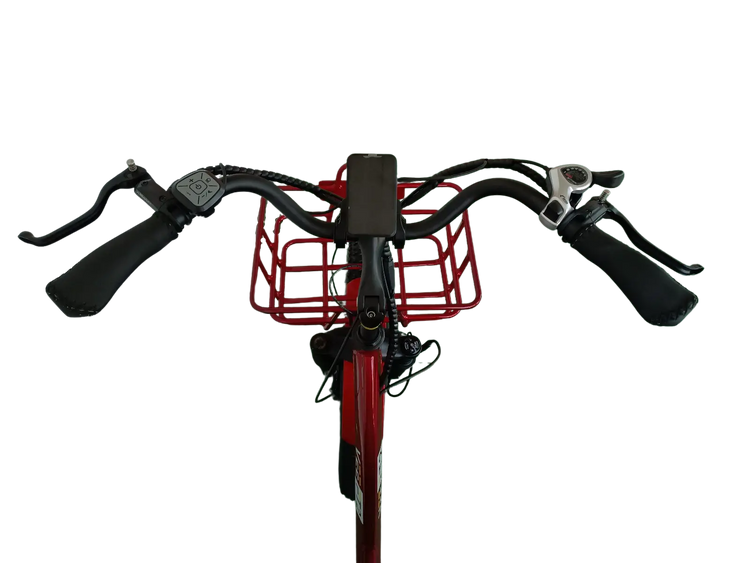 FT2 Cargo Trike Vtuvia