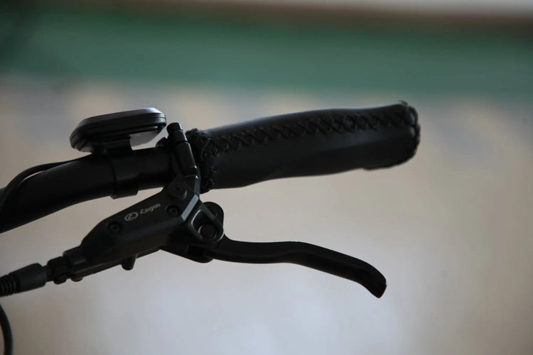 Antelope Fat Tyre Folding Ebike