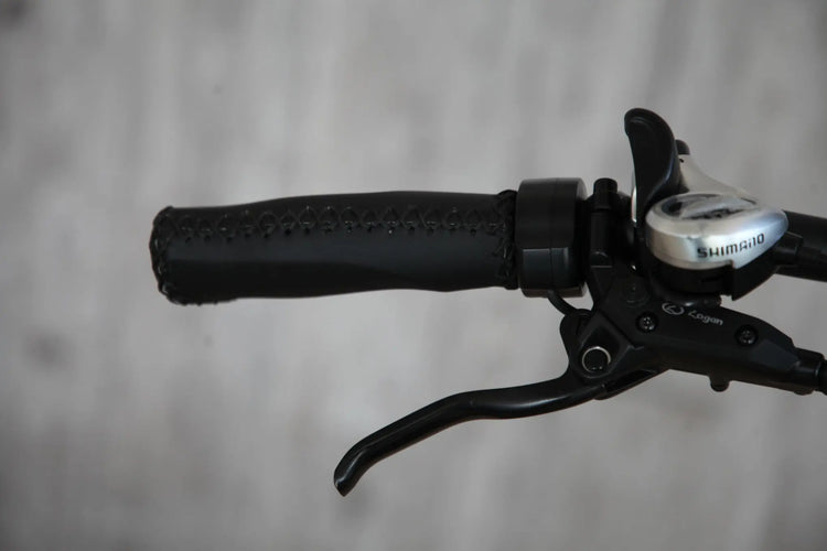 Antelope Fat Tyre Folding Ebike