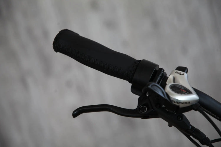 Antelope Fat Tyre Folding Ebike